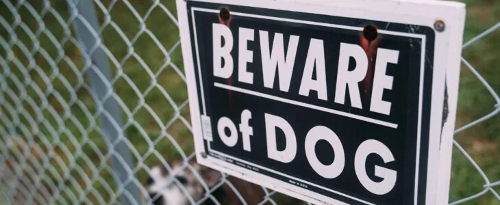 Beware of Dog Sign on Fence